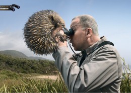 相机广告创意图片