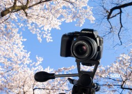 单反 奥林巴斯相机图片