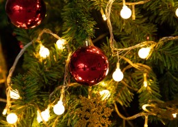 圣诞节布置的圣诞树图片