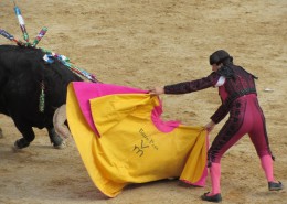 西班牙斗牛图片大全