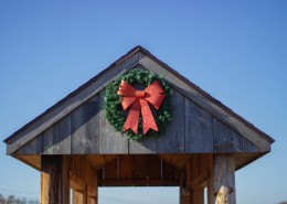 圣诞节装饰图片