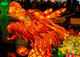 春节喜庆灯会图片