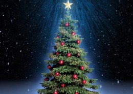 璀璨圣诞树图片大全