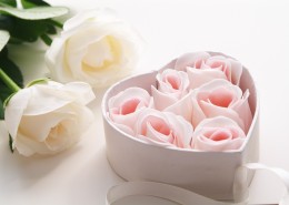 情人节物语图片