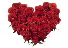 情人节心形花环图片