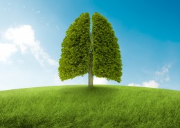 个性幻想树木素材图片