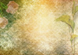 花卉彩绘背景素材图片