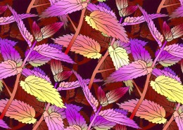 叶子图案设计图片