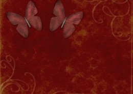 蝴蝶图案背景图片大全