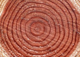 木质底纹背景图片