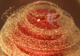 奇妙的星系花纹背景图片