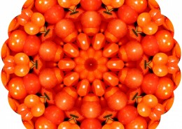 怪异的花纹背景图片大全