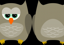 卡通猫头鹰素材图片