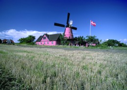 婚纱背景高清图片（一）