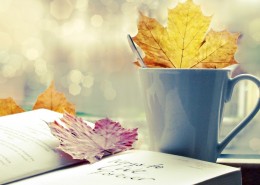 唯美枫叶树叶景色图片