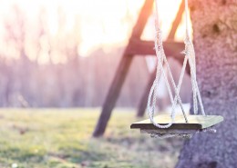 童年的秋千图片