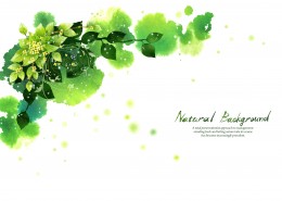 韩国时尚花纹图片大全