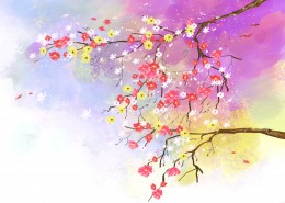 韩国唯美花朵背景图片