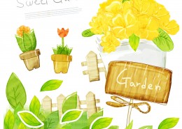 韩国手绘水彩花朵素材图片大全