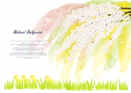 明亮黄色韩国花朵背景图片大全