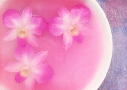 温馨粉色花朵图片