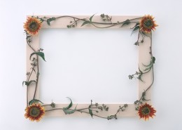 木质边框与花草图片