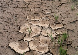 干旱土地图片