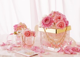 春季花朵素材图片