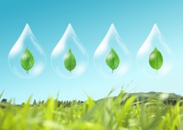 绿色生活和水图片