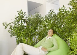 绿色环保工作空间图片