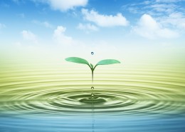 空气和水的绿意图片