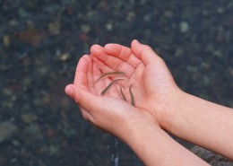 珍惜水资源图片