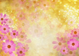 梦幻花朵图片大全