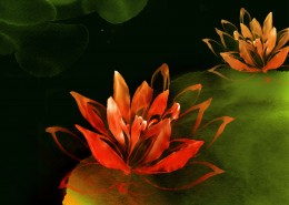 水墨花卉图片大全