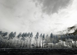 黑白风景摄影图片大全