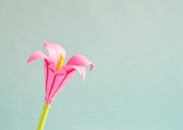 有趣好玩的折纸图片大全