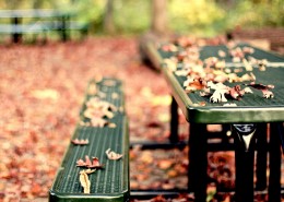 唯美公园长椅摄影图片大全