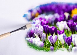 用画笔画油画图片