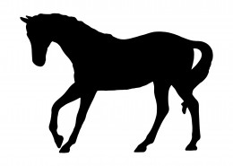 马的剪影图片
