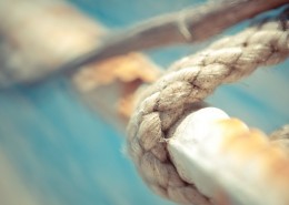 唯美小清新静物摄影图片大全