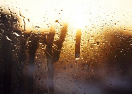 雨后的玻璃窗图片大全