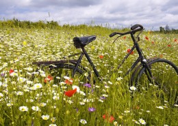 唯美单车静物图片大全