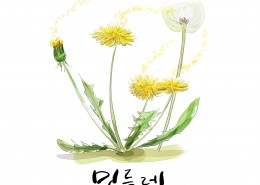 花草素描图片大全