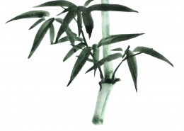 水墨竹子图片大全