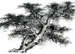 古树水墨画图片