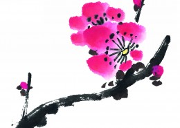 国画梅花图片大全