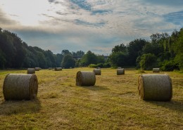秋天的草垛图片
