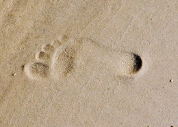 沙滩上的脚印图片