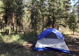 野外露营搭建的帐篷图片