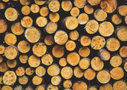 堆在一起的木材图片